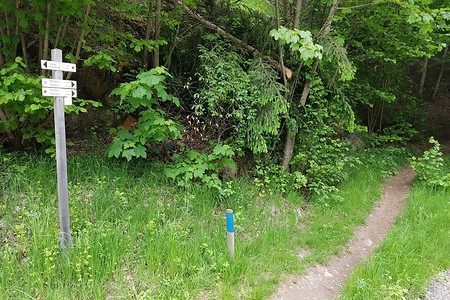 Wegabzweig für Etappe 2 &ndash; (26.05.2020, S. Dassler &copy;&nbsp;VGN GmbH)