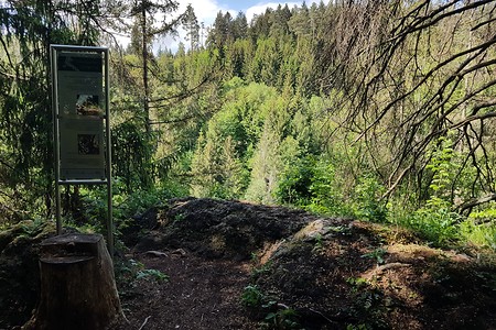 Aussichtspunkt &ndash; (26.05.2020, S. Dassler &copy;&nbsp;VGN GmbH)