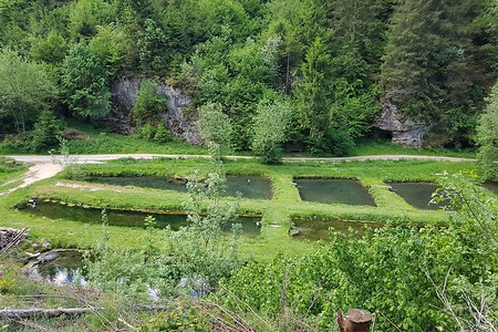 Fischteiche &ndash; (26.05.2020, S. Dassler &copy;&nbsp;VGN GmbH)