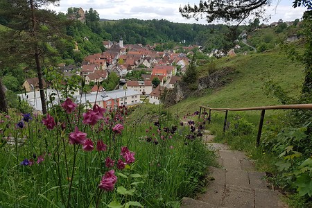 Abstieg von der Bergwachthütte &ndash; (26.05.2020, S. Dassler &copy;&nbsp;VGN GmbH)