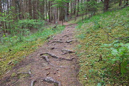 Auf dem Jägersteig &ndash; (26.05.2020, S. Dassler &copy;&nbsp;VGN GmbH)