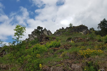 Hoch zum Bergwachtkreuz &ndash; (26.05.2020, S. Dassler &copy;&nbsp;VGN GmbH)