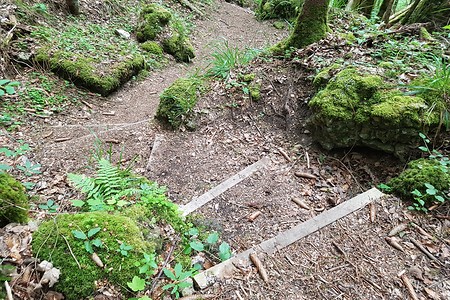 Emil-Riedel-Weg &ndash; (26.05.2020, S. Dassler &copy;&nbsp;VGN GmbH)