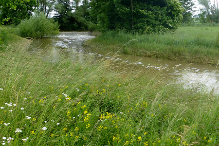 Entlang der Itz &ndash; (15.06.2013, VGN &copy;&nbsp;VGN GmbH)