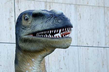 Dinosaurierkopf &ndash; (26.10.2008, VGN &copy;&nbsp;VGN GmbH)