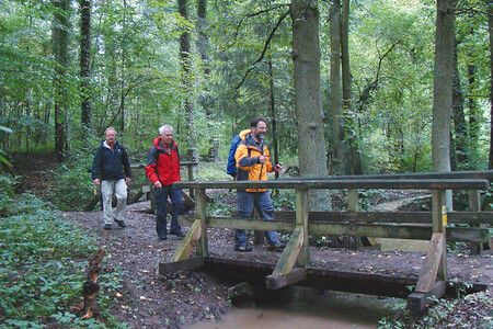 Im Mischwald &ndash; (VGN &copy;&nbsp;VGN GmbH)