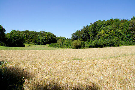 Fünf-Seidla-Steig: Bei Thuisbrunn (EN) &ndash; (16.07.2011, VGN &copy;&nbsp;VGN GmbH)