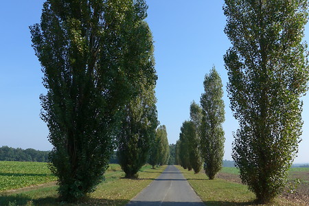 Strehlhof &ndash; (27.02.2017, UNTHEIM Presse PR Publikationen &copy;&nbsp;UNTHEIM Presse PR Publikationen)