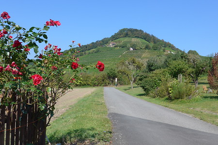 Handthal &ndash; (27.02.2017, UNTHEIM Presse PR Publikationen &copy;&nbsp;UNTHEIM Presse PR Publikationen)