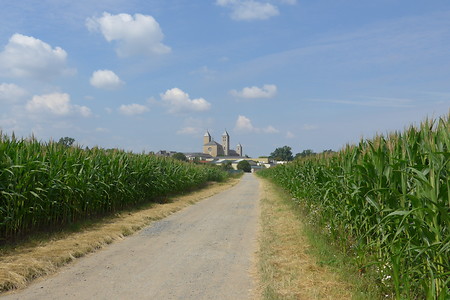 Weg nach Münsterschwarzach &ndash; (27.02.2017, UNTHEIM Presse PR Publikationen &copy;&nbsp;UNTHEIM Presse PR Publikationen)