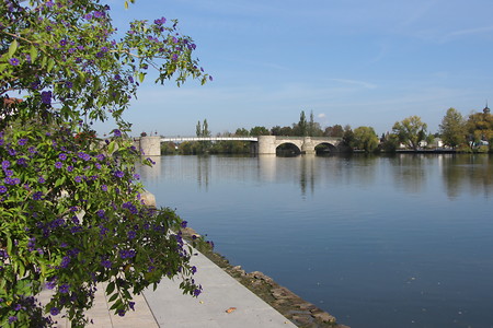 Maikai in Kitzingen &ndash; (14.03.2017, VGN &copy;&nbsp;VGN GmbH)