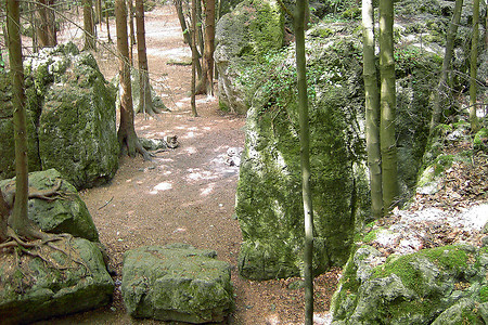 Unterwegs in der Fränkischen &ndash; (VGN &copy;&nbsp;VGN GmbH)