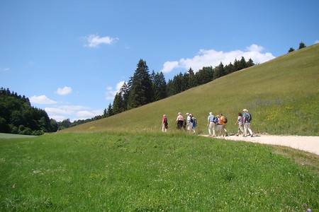 Talweg nach Weißenburg &ndash; (28.08.2015, VGN &copy;&nbsp;VGN GmbH)