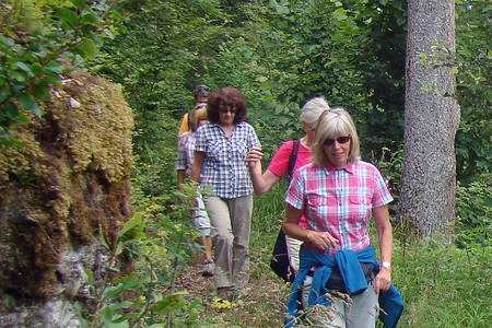 Aufstieg zum Weinberg &ndash; (28.08.2015, VGN &copy;&nbsp;VGN GmbH)