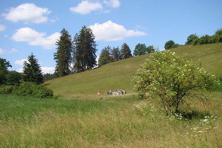 Auf dem Weißenburger Reichstadtweg &ndash; (28.08.2015, VGN &copy;&nbsp;VGN GmbH)