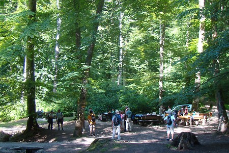 Ausflugsziel Römerbrunnen &ndash; (28.08.2015, VGN &copy;&nbsp;VGN GmbH)