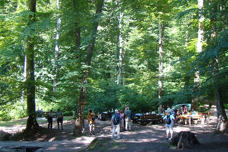 Ausflugsziel Römerbrunnen &ndash; (28.08.2015, VGN &copy;&nbsp;VGN GmbH)