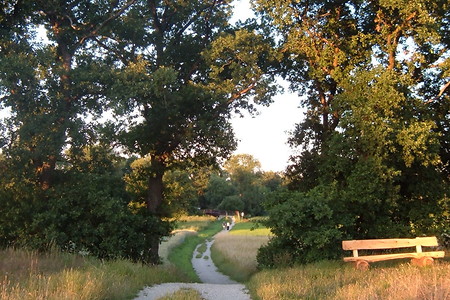 Weg nach Weiher &ndash; (01.10.2015, VGN &copy;&nbsp;VGN GmbH)