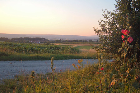 See und Blumen &ndash; (01.10.2015, VGN &copy;&nbsp;VGN GmbH)