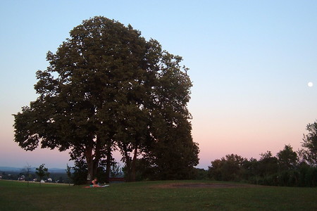 Dämmerung &ndash; (01.10.2015, VGN &copy;&nbsp;VGN GmbH)