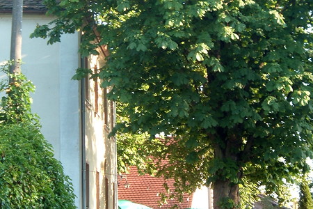 Biergarten &ndash; (01.10.2015, VGN &copy;&nbsp;VGN GmbH)