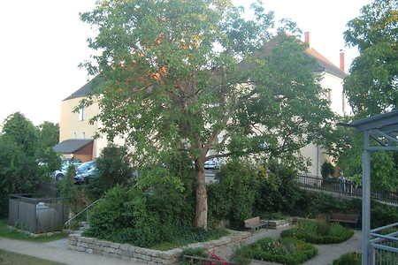 Garten &ndash; (01.10.2015, VGN &copy;&nbsp;VGN GmbH)