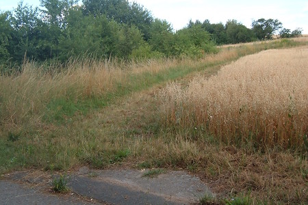 Weg &ndash; (01.10.2015, VGN &copy;&nbsp;VGN GmbH)