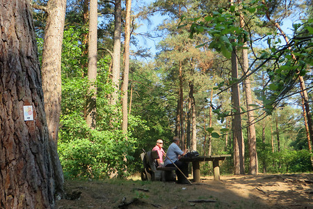 Rastplatz &ndash; (01.10.2015, VGN &copy;&nbsp;VGN GmbH)