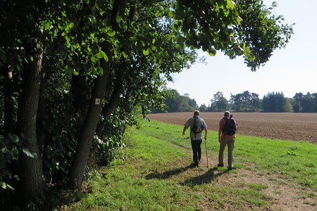 Wanderung am Feldrand &ndash; (01.10.2015, VGN &copy;&nbsp;VGN GmbH)