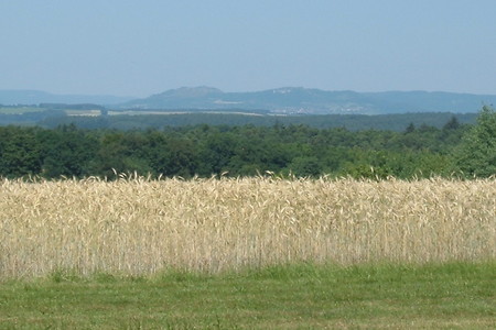 Kornfeld &ndash; (01.10.2015, VGN &copy;&nbsp;VGN GmbH)