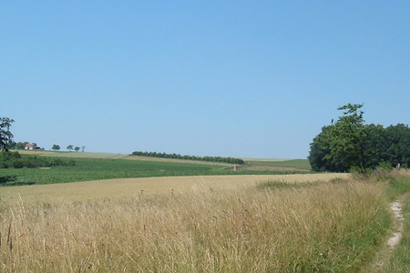 Blick übers Feld &ndash; (01.10.2015, VGN &copy;&nbsp;VGN GmbH)