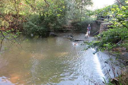 Wehr im Schwabachtal &ndash; (01.10.2015, VGN &copy;&nbsp;VGN GmbH)