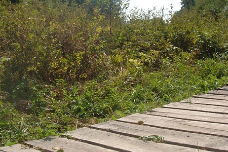 Holzbrücke &ndash; (01.10.2015, VGN &copy;&nbsp;VGN GmbH)