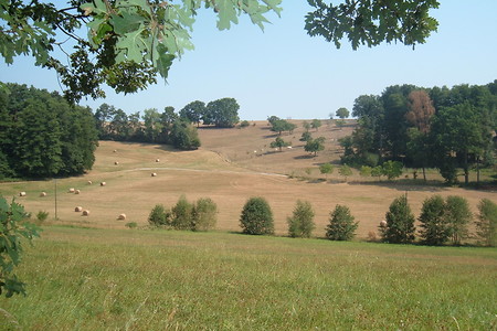 Titelfoto &ndash; (01.10.2015, VGN &copy;&nbsp;VGN GmbH)