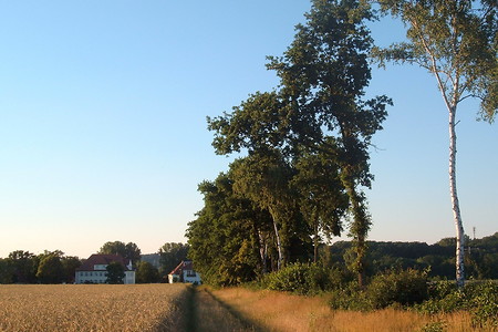 Gut Eggenhof &ndash; (01.10.2015, VGN &copy;&nbsp;VGN GmbH)