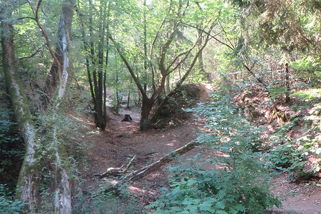 Schlucht im Wald &ndash; (01.10.2015, VGN &copy;&nbsp;VGN GmbH)