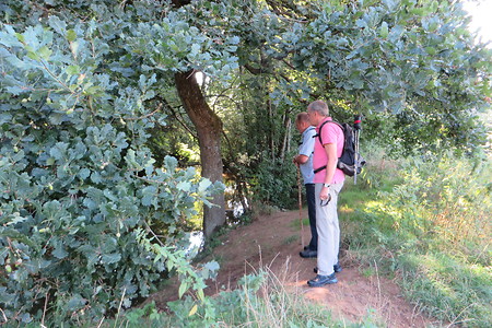 Blick zum Bach &ndash; (01.10.2015, VGN &copy;&nbsp;VGN GmbH)