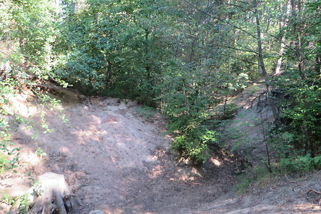 Im Wald &ndash; (01.10.2015, VGN &copy;&nbsp;VGN GmbH)