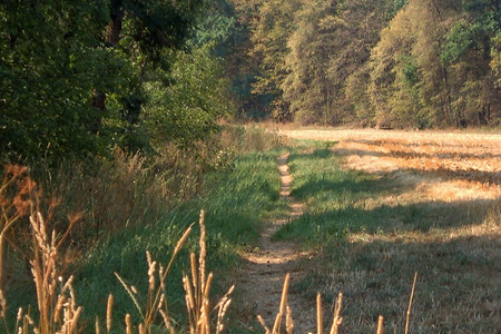 Weg &ndash; (01.10.2015, VGN &copy;&nbsp;VGN GmbH)