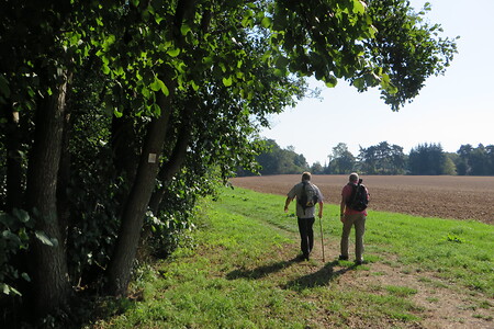Wanderung am Feldrand &ndash; (01.10.2015, VGN &copy;&nbsp;VGN GmbH)