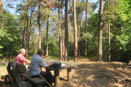 Rastbank im Wald &ndash; (01.10.2015, VGN &copy;&nbsp;VGN GmbH)