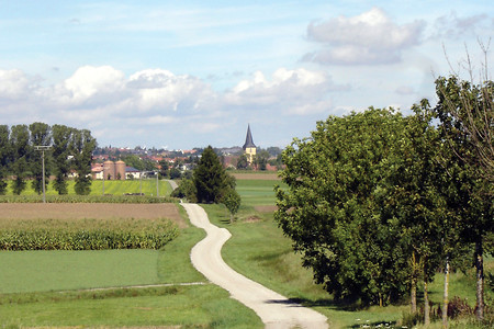 Vor Gebsattel (EN) &ndash; (10.09.2011, VGN &copy;&nbsp;VGN GmbH)