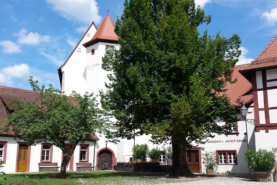 NEU: Museen im alten Schloss