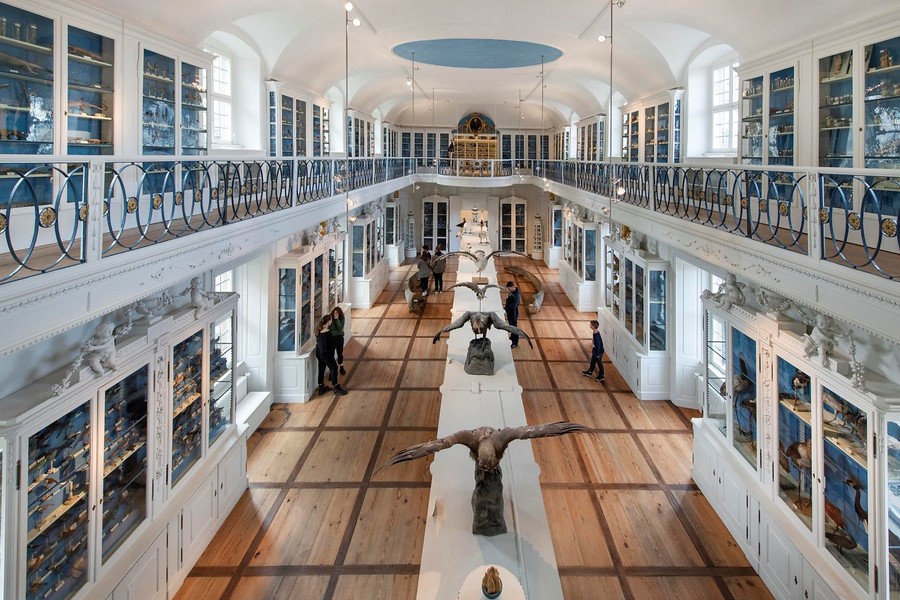 NEU: Naturkundemuseum Bamberg