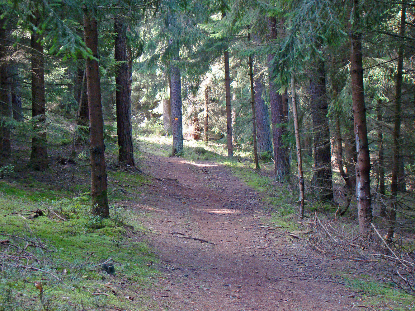 Am Grossberg &ndash;  (VGN &copy;&nbsp;VGN GmbH)