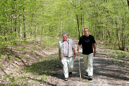 Im Wald - nach Seußling &ndash; (23.04.2010, VGN &copy;&nbsp;VGN GmbH)