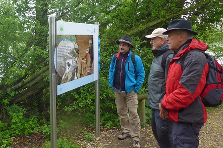 Infotafel auf der Vogelinsel &ndash; (29.09.2015, VGN &copy;&nbsp;VGN GmbH)