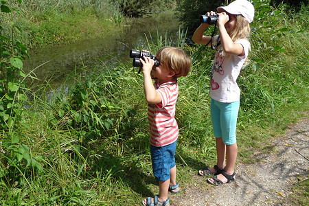 Beobachtungen &ndash; (29.09.2015, LBV &copy;&nbsp;LBV)