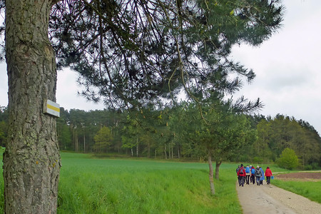 Wandergruppe vor Buechelberg &ndash; (VGN &copy;&nbsp;VGN GmbH)