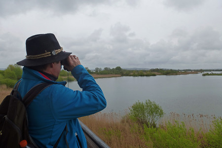 Am Aussichtsturm &ndash; (29.09.2015, VGN &copy;&nbsp;VGN GmbH)